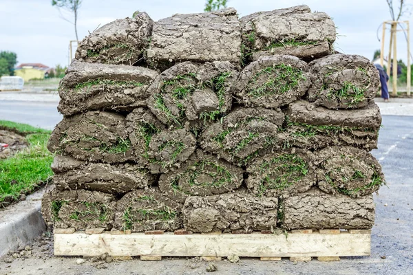 Heap of sod rolls for installing new lawn, unrolling grass — Stock Photo, Image