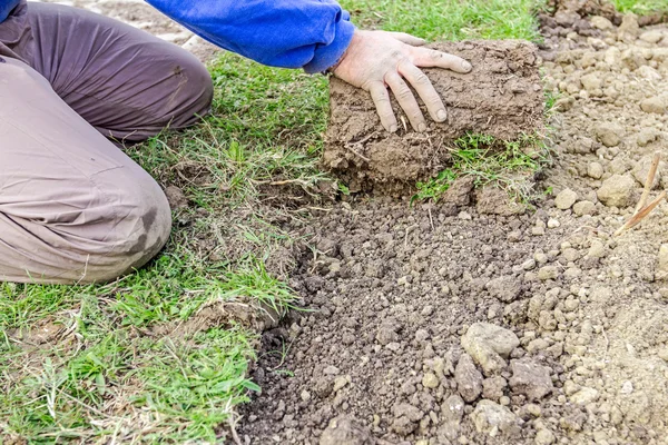 Unrolling grass, applying turf rolls for a new lawn — Stock Photo, Image