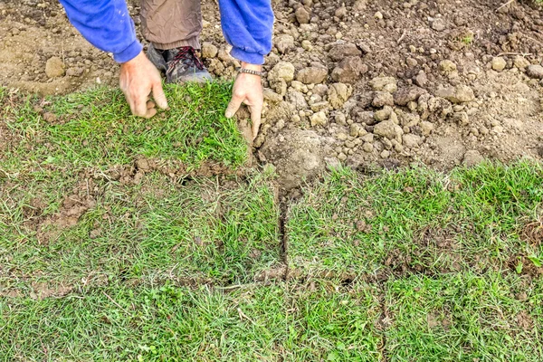 Розгортання трави, застосування рулонів для нового газону — стокове фото