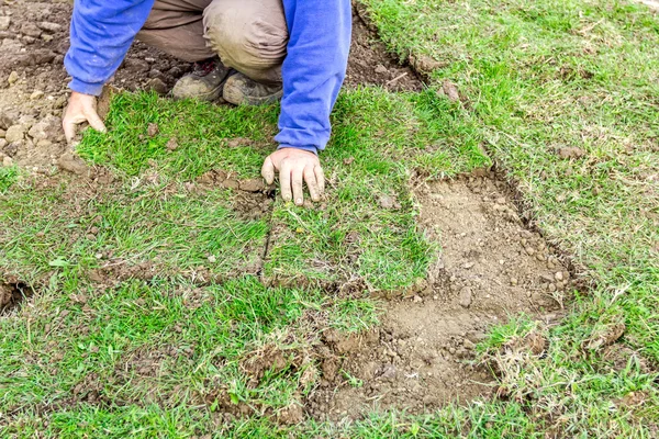Unrolling çim, çim uygulama için yeni bir çim rulo