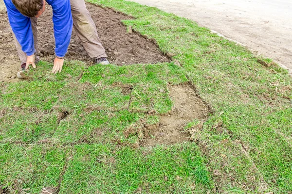 Unrolling grass, applying turf rolls for a new lawn — Stock Photo, Image