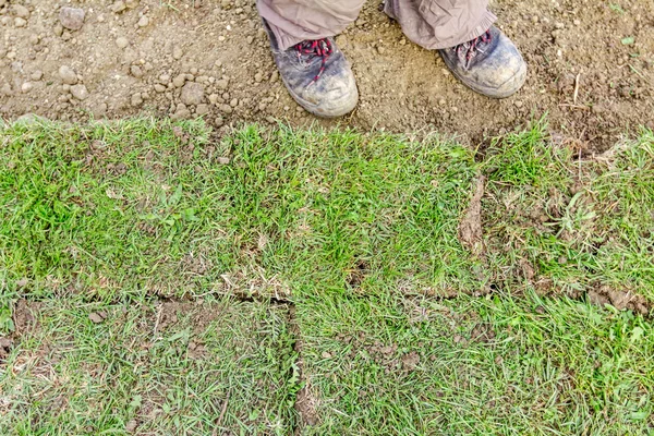 Desenrolando grama, aplicando rolos de relva para um novo gramado — Fotografia de Stock