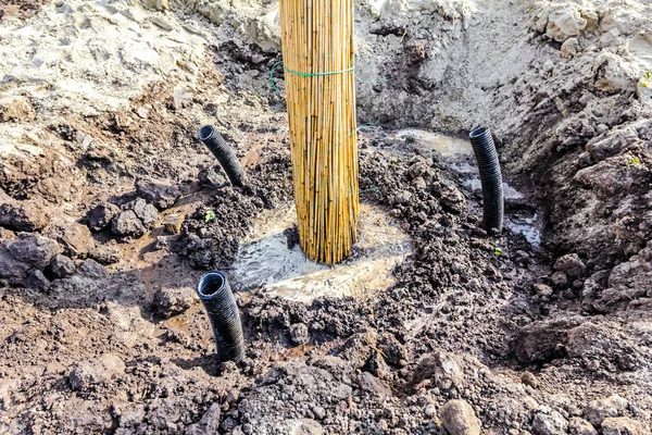Tubo de plástico corrugado colocado alrededor de la raíz del árbol —  Fotos de Stock