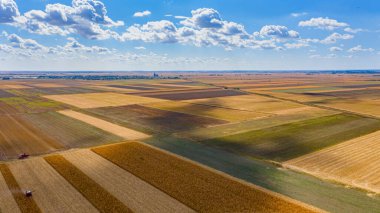 Tarımsal tarlaların üzerinde, hasat mevsiminde ekilmiş araziler, iki hasat hasatçısı olgun mısır hasat ediyor, güzel mavi gökyüzü ve beyaz tüylü bulutlar..