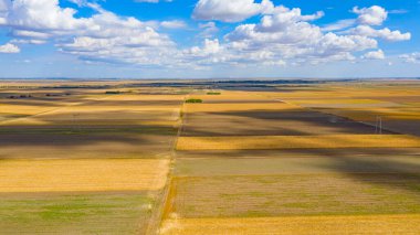 Tarım tarlalarının üzerinde, hasat mevsiminde ekilmiş araziler, beyaz kabarık bulutlu mavi gökyüzü onların gölgeleri yerde..