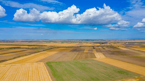 畑の上からの眺め 収穫期に栽培されたプロット 白いふわふわの雲の青い空彼らの影が地面にあります — ストック写真
