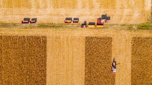 Acima Vista Superior Duas Combinações Trabalhando Juntas Campo Milho Maduro — Fotografia de Stock