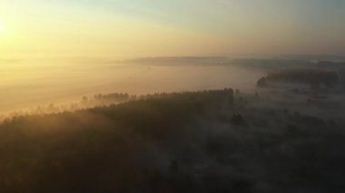 Dolly sabahın erken saatlerinde manzaranın üzerinde süzülen sisi havadan görüyor. Yavaşça yüzen buharın hava görüntüsü, bitki örtüsünün buharı, şafak vakti sonbahar, gün doğumu..