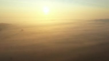 Kamera geriye doğru uçuyor, yavaşça yüzen buharın hava görüntüsü, bitki örtüsünün üzerindeki buhar, sonbahar şafak vakti, gün doğumu.