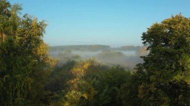 Kamera, yüzen buharı, bitki örtüsünün üzerindeki buharı, sonbaharda şafak vakti, gündoğumunu gösteren iki ağaç gölgesinden geçiyor..