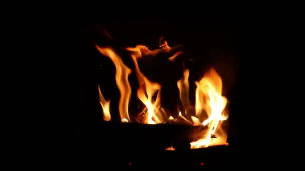 Ohňové Plameny Hořící Hořící Noci Ohňové Plameny Hořící Hořící Tmě — Stock video