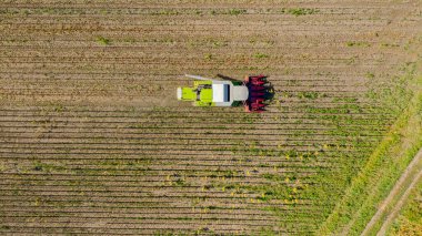 Zirai hasat aracının havadan görünüşü tarım arazilerindeki olgun ayçiçeklerini kesip biçiyor..