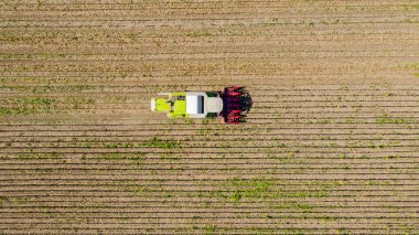 Zirai hasat aracının havadan görünüşü tarım arazilerindeki olgun ayçiçeklerini kesip biçiyor..