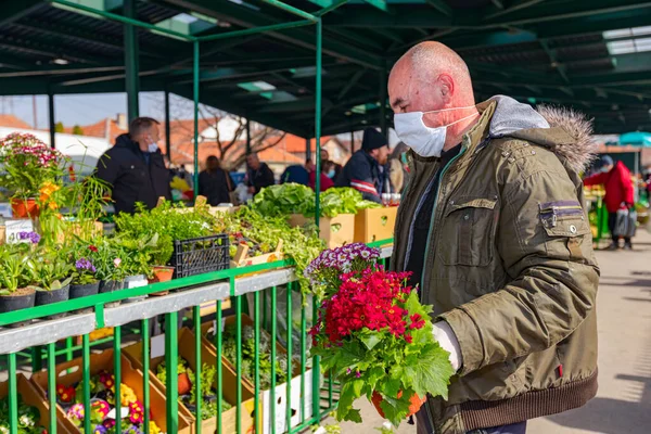 Vendeur Offre Vente Fleurs Pot Marché Aux Puces Extérieur Protégé — Photo