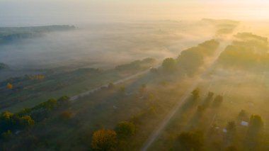 Orman ağaçları arasında giden eski asfalt yolu üzerindeki hava manzarası, sonbaharda güneşin doğuşunda bitki örtüsü..