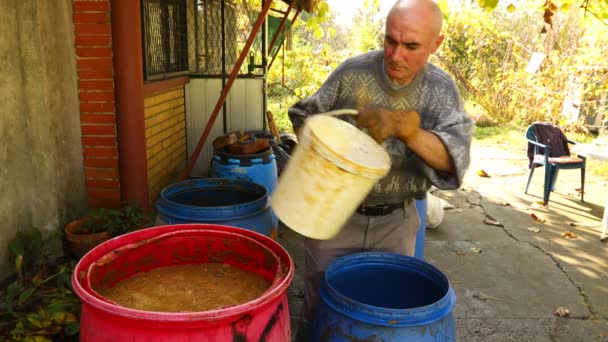 Farmer Transfunde Marca Fruta Con Cubo Plástico Hombre Está Transfiriendo — Vídeo de stock