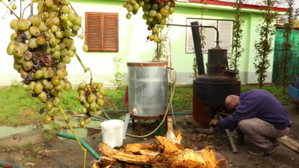 Grappolo Maturo Uva Bianca Distilleria Fatta Casa Bevande Alcoliche Sullo — Video Stock