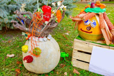 Çeşitli bitki ve mısır ipeklerinin komik süslemeleri olan renkli oyulmuş balkabakları Cadılar Bayramı için yeşil çimlerde sergilenir..