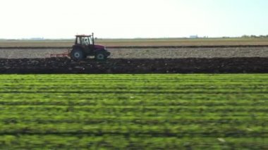 Dolly, traktörün yörünge çekimini ekili tarlayı sürerken, toprağı gelecek sezon yeni ekin için hazırlarken yap..