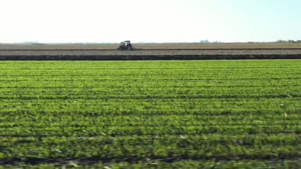 低矮的地方 低矮的拖拉机在耕地上犁地 为下一季播种新作物准备土壤 — 图库视频影像