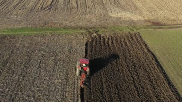 耕作場に地面を耕し 来年の新しい作物を植えるための土壌を準備するトラクターのドリー移動ショットの空中トップビュー — ストック動画