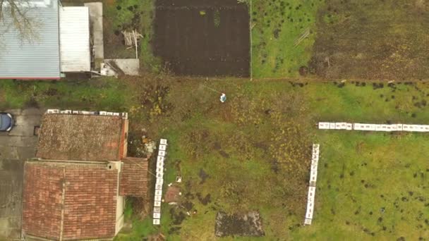 Flygfoto Över Bonden Skyddande Kläder Sprutar Fruktträd Fruktträdgården Med Hjälp — Stockvideo