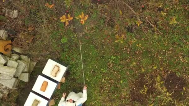 Koruyucu Giysiler Içindeki Çiftçiyi Hava Manzarası Meyve Ağaçlarını Uzun Spreyler — Stok video