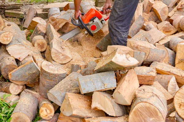 Lumberjack Chopping Tree Trunks Yard Using Professional Chainsaw Throws Them — Stock Photo, Image