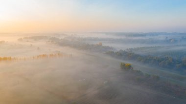 Sabahın erken saatlerindeki sislerin havadan görünüşü, yavaşça süzülen buhar, şafak vakti ekilmiş bitki örtüsünün üzerinde buhar..