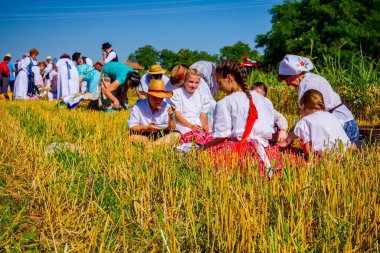 Muzlja, Voyvodina, Sırbistan, - 06 Temmuz 2019; Çocuklar geleneksel buğday hasadında piknikte kahvaltı yapıyorlar.