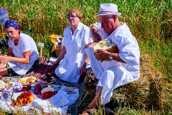 Muzlja Vojvodina Serbia Julio 2019 Las Manos Masculinas Están Cortando — Foto de Stock