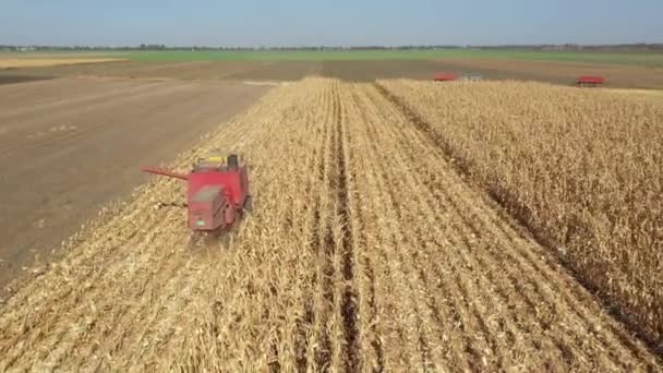 Dessus Déplacement Des Poupées Vue Moissonneuse Agricole Comme Coupe Récolte — Video