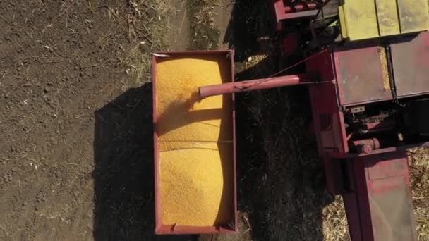 Dolly Mover Acima Vista Superior Transbordo Colheitadeira Agrícola Combinar Para — Vídeo de Stock