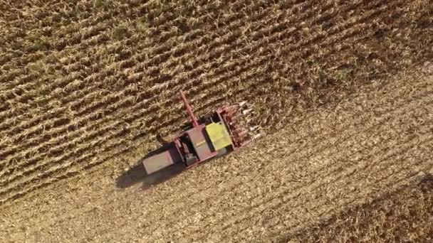 Vista Superior Colheitadeira Agrícola Como Corte Colheita Milho Maduro Campos — Vídeo de Stock