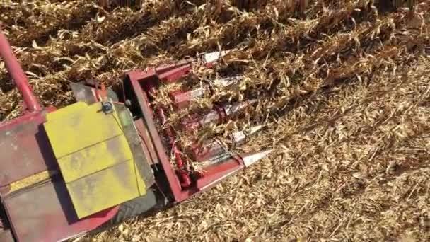 Sopra Vista Dall Alto Della Mietitrice Agricola Come Taglio Raccolta — Video Stock