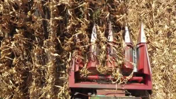 農場で成熟したトウモロコシを切断し収穫するとしての農業の収穫者の上のビュー — ストック動画