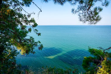 Kozalaklı kozalaklı ağaçların arasından resiften güzel sığ turkuaz sulara. 