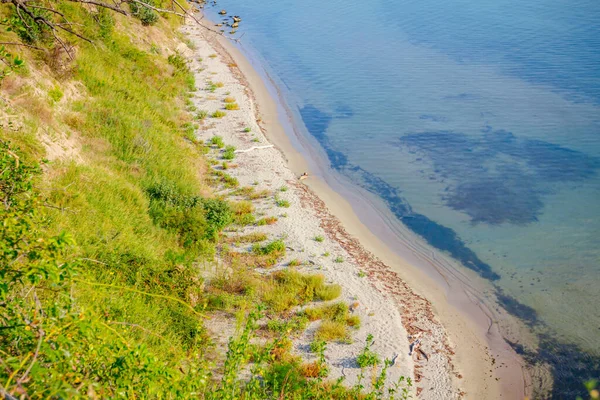 Морской Пол Виден Через Бирюзовую Прозрачную Воду Зеленую Растительность Земле — стоковое фото