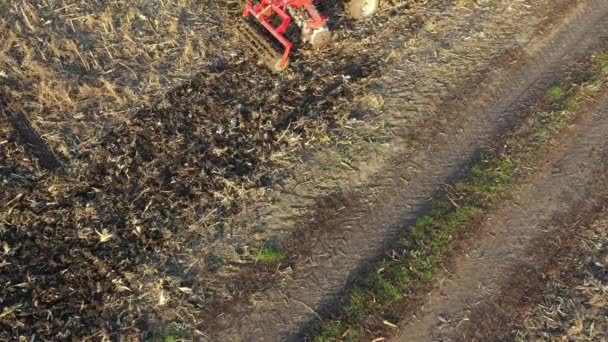 Blick Von Oben Arbeiter Entfernt Den Schlamm Mit Werkzeug Unter — Stockvideo