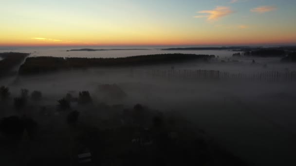 Kameran Lyfter Uppåt Visar Långsamt Flytande Ånga Ånga Över Skogen — Stockvideo