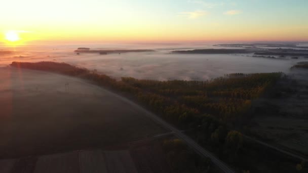 Luftaufnahme Von Dunst Über Landschaft Vegetation Bei Sonnenaufgang Und Asphaltstraße — Stockvideo