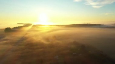 Kamera havalanıyor, yukarı doğru, yukarı bakıyor, yavaşça yüzen buhar, ormanın içinde buhar, şafağın ilk saatlerinde manzara, ufukta gün doğumu.