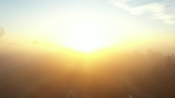 カメラは ゆっくりと浮遊する蒸気 森林の間の蒸気 早朝の風景 地平線の上の日の出の上に上記のビューを示して 上に離陸しています — ストック動画