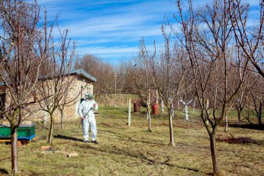 Bahçedeki meyve ağaçlarının koruyucu giysileri ve gaz maskeli çiftçileri uzun spreyleri kullanarak ilkbaharın başlarında onları mantar hastalıklarından veya haşaratlardan koruyorlar..