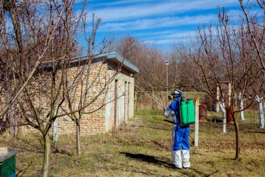 Bahçedeki meyve ağaçlarının koruyucu giysileri ve gaz maskeli çiftçileri uzun spreyleri kullanarak ilkbaharın başlarında onları mantar hastalıklarından veya haşaratlardan koruyorlar..