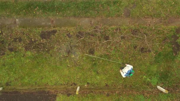 Vue Aérienne Dessus Agriculteur Portant Des Vêtements Protection Qui Pulvérise — Video