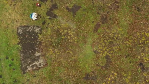 Aerial Top View Farmer Protective Clothing Sprays Fruit Trees Orchard — Stock Video