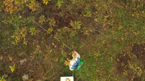 Αεροφωτογραφία Πάνω Στον Αγρότη Προστατευτικό Ρουχισμό Ψεκάζει Οπωροφόρα Δέντρα Οπωρώνα — Αρχείο Βίντεο
