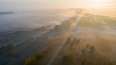 Orman ağaçları arasında giden eski asfalt yolu üzerindeki hava manzarası, sonbaharda güneşin doğuşunda bitki örtüsü..