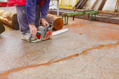 Marangozluk işçileri arasında kereste kesmek için profesyonel bir testere de var..